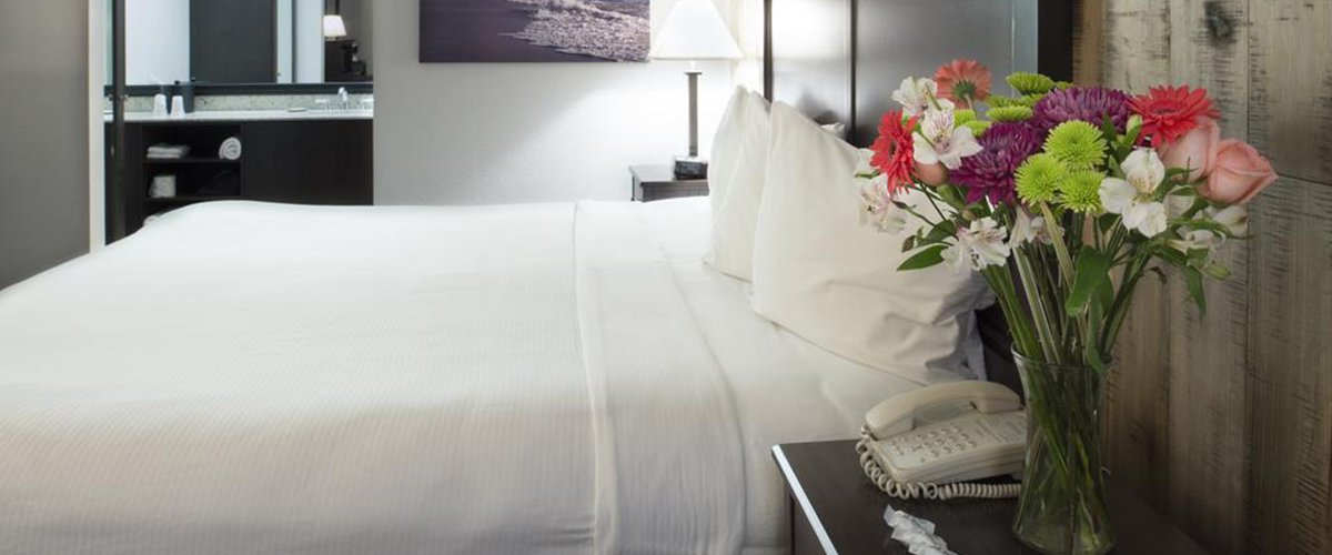 Updated guest rooms with plush bedding