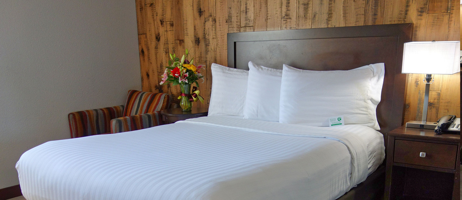 Enjoy A Relaxing Stay In With Our Spacious Guestrooms