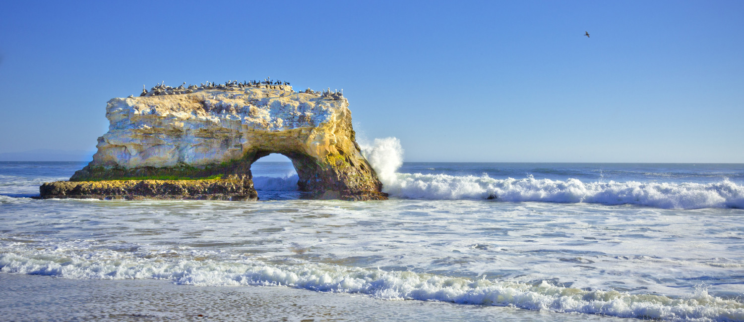 Explore Exciting Things To Do In Santa Cruz