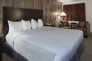 Mission Inn & Suites - King bed